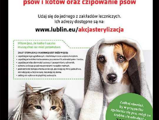 Bezpłatna akcja sterylizacji psów i kotów*