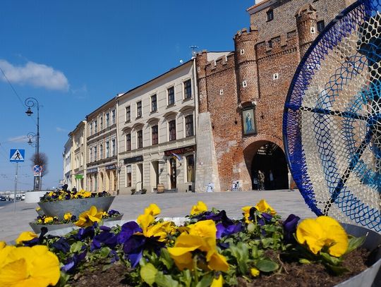 Bratki już zdobią Lublin!