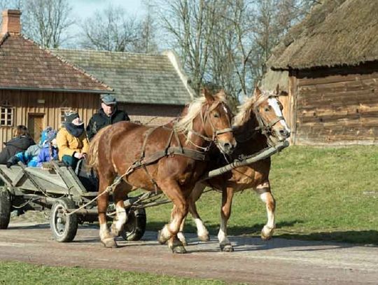 DRUGI TYDZIEŃ FERII ZIMOWYCH W MUZEUM WSI LUBELSKIEJ