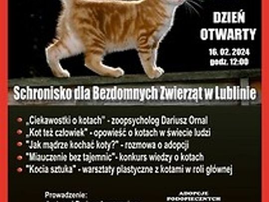 Dzień Otwarty w Schronisku dla Bezdomnych Zwierząt w Lublinie