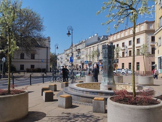 Grusze na placu Wolności, pnącza na Starym Mieście