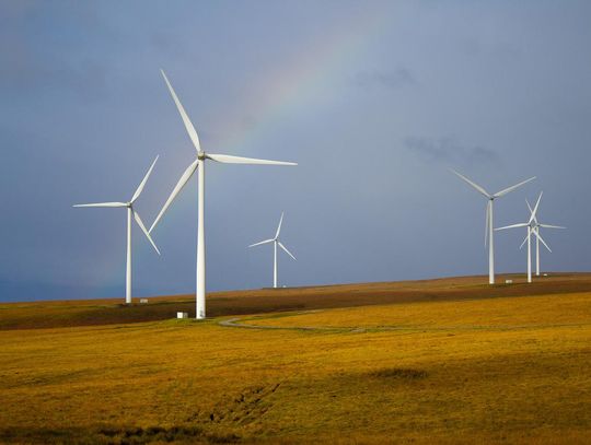 Ile wiatraków może powstać w województwie lubelskim? Eksperci odpowiedzieli podczas konferencji „Energia dla Lubelskiego”.