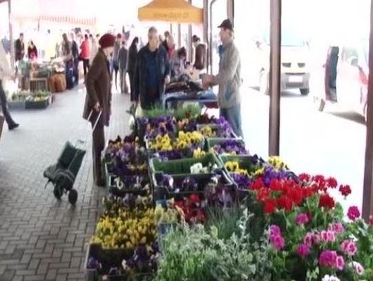 Kolejne problemy na targowisku miejskim w Kraśniku