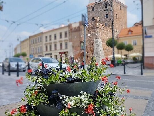 Kwiaty odmieniają Lublin!