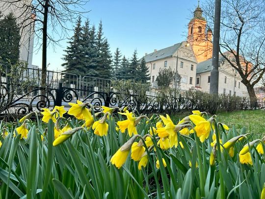 Lublin szykuje się do wiosny