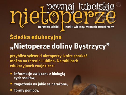 Międzynarodowa Noc Nietoperzy