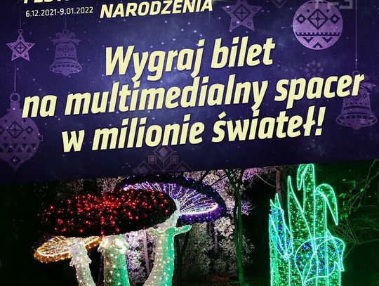 Multimedialny Spacer w Parku Miliona Świateł - regulamin Konkursu