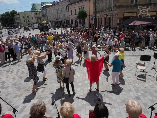 Nabór kandydatów do Rady Seniorów Miasta Lublin