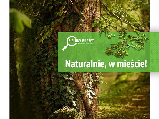 Naturalnie, w mieście!