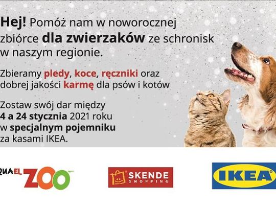 Noworoczna zbiórka dla zwierząt ze schronisk*