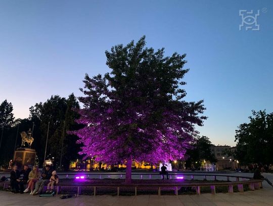 Plac Litewski rozbłyśnie na fioletowo w Międzynarodowy Dzień Padaczki