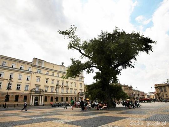 Przebudowa Placu Litewskiego!