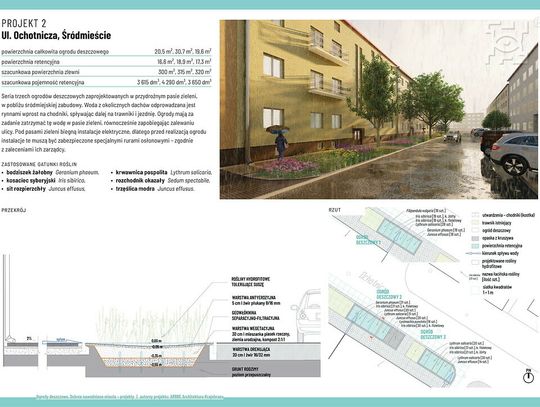 Przy ul. Ochotniczej powstają kolejne dwa ogrody deszczowe