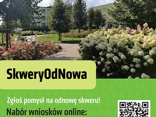 SkweryOdNowa, czyli VI edycja Zielonego Budżetu