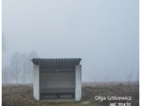 Spotkanie autorskie z Olgą Gitkiewicz*