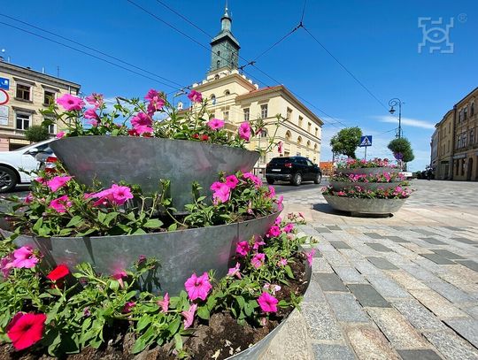 Supertunie opanowały centrum Lublina!