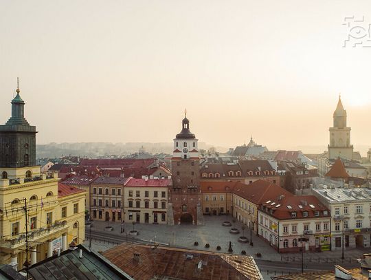 W Lublinie powstanie sieć miejsc przyjaznych zwierzętom