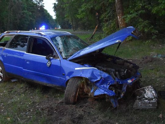 Wyprzedzanie zakończone uderzeniem w drzewo