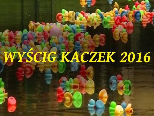 Wyścig Kaczek 2016