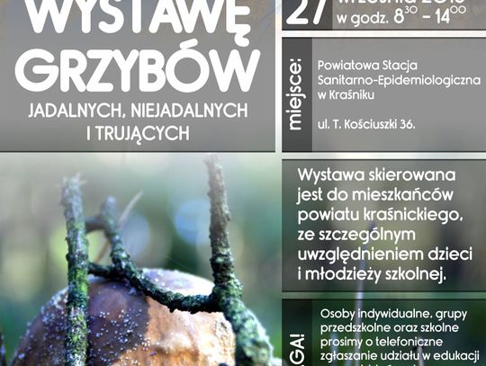 Wystawa grzybów jadalnych, niejadalnych i trujących