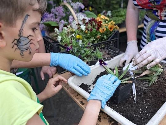 Wystawa roślin mięsożernych i majówka w Ogrodzie Botanicznym UMCS