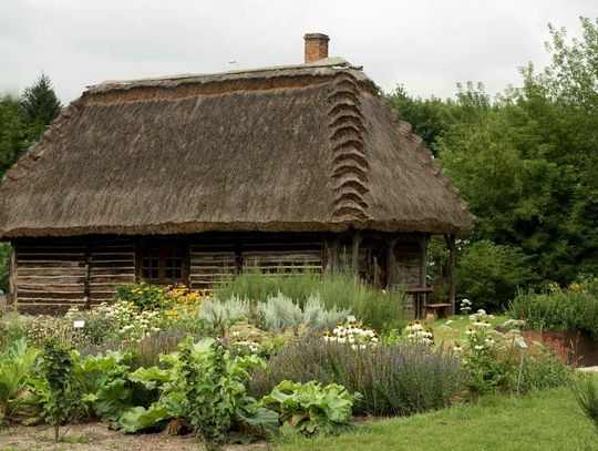 Zajęcia zielarskie w Muzeum Wsi Lubelskiej