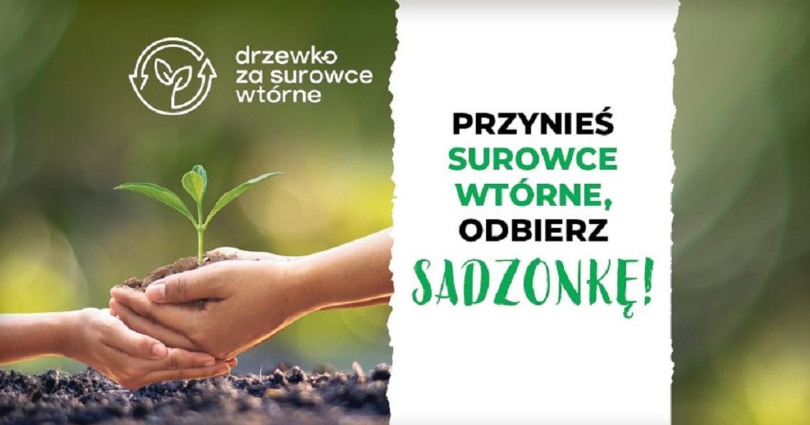 Drzewko za surowce wtórne