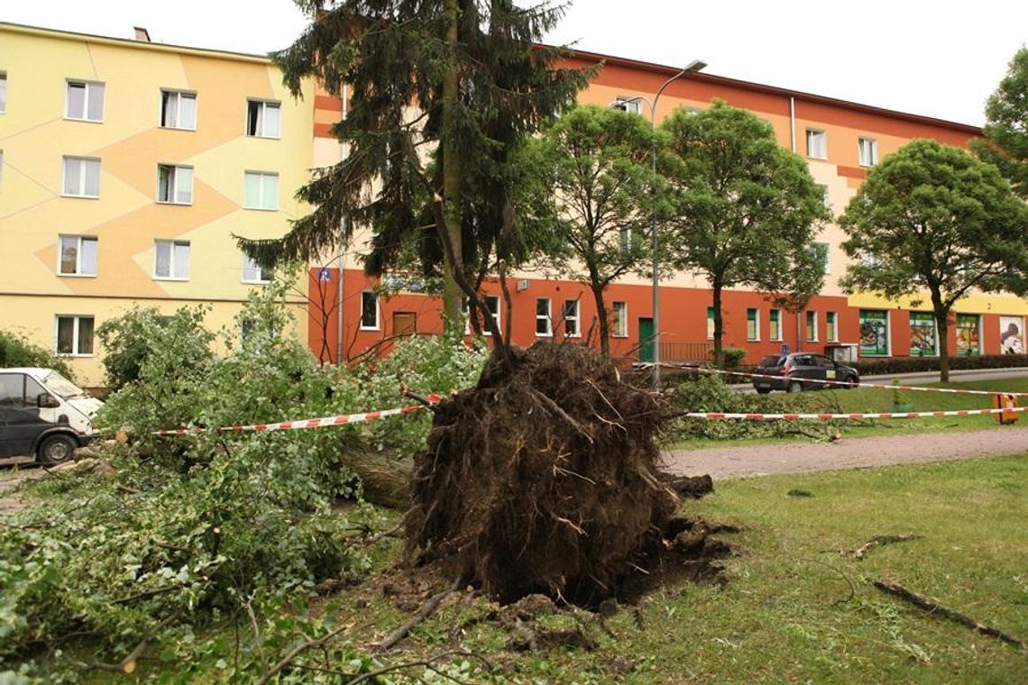 Dzień po nawałnicy w Kraśniku ( ZDJĘCIA )