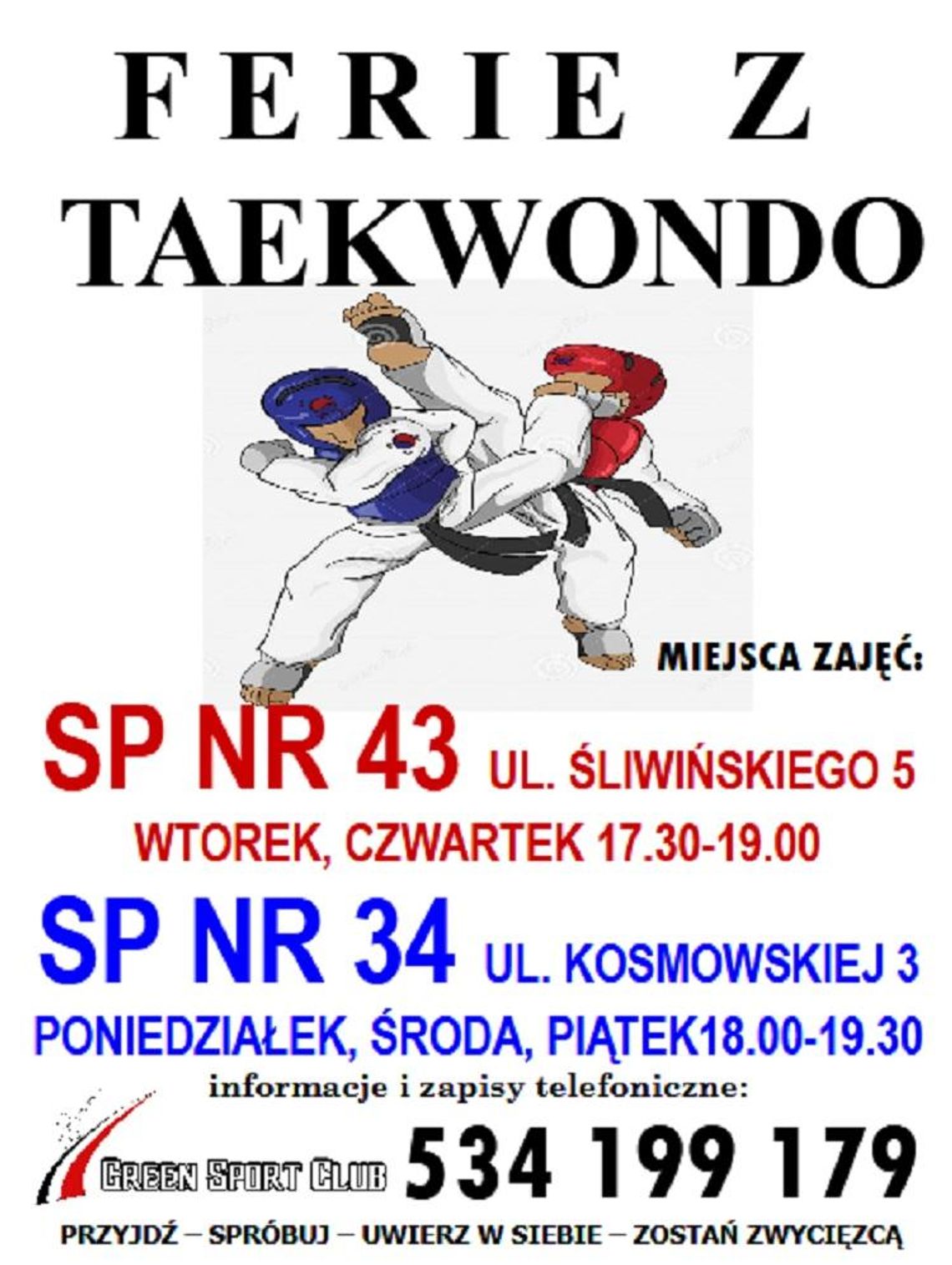 Ferie z Taekwondo *