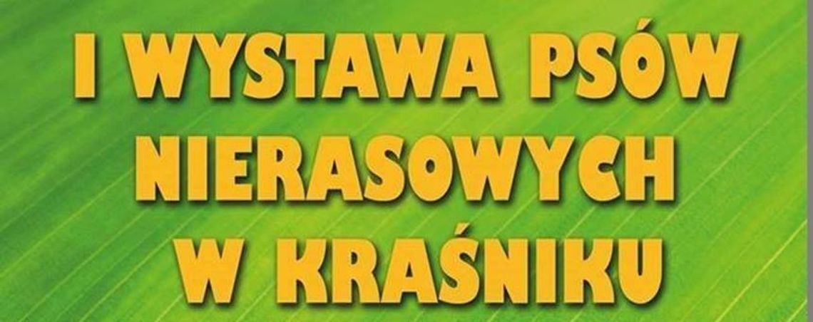 I wystawa psów nierasowych w Kraśniku!