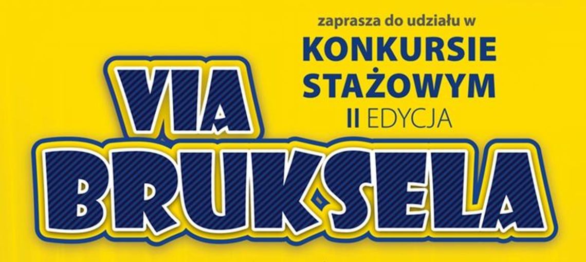 II edycja konkursu Via Bruksela - do wygrania 2 płatne staże w Brukseli!