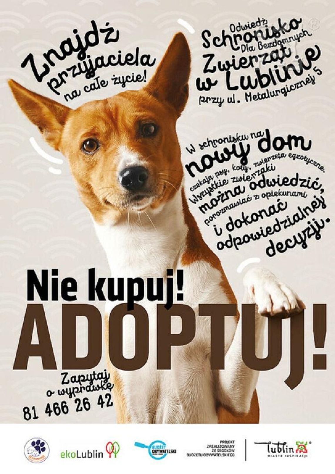 Kampania informacyjna „Nie kupuj! Adoptuj!”