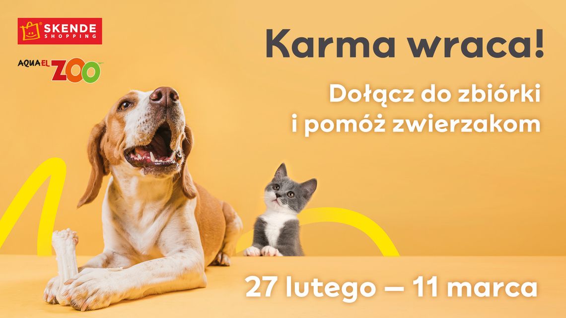 Karma wraca - dołącz do zbiórki i pomóż zwierzakom