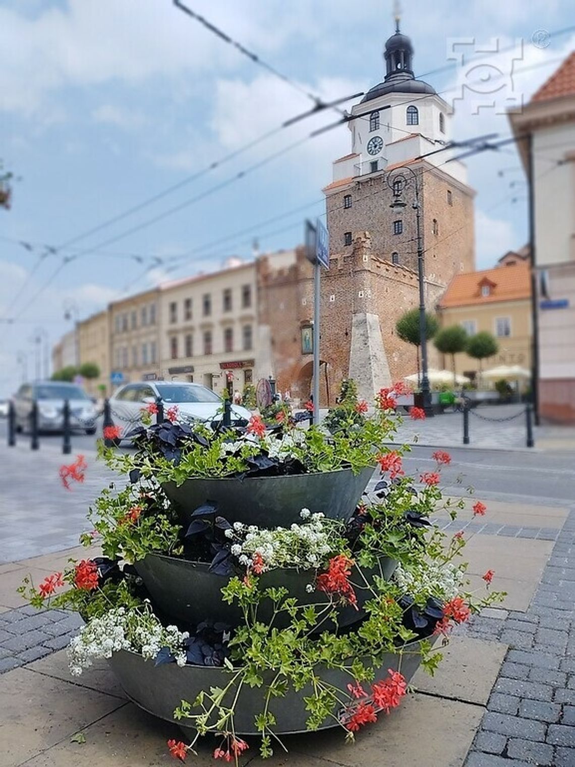 Kwiaty odmieniają Lublin!