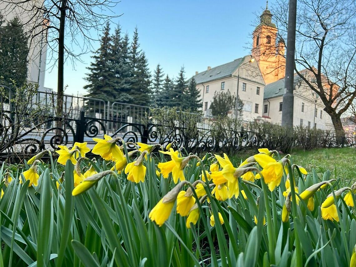 Lublin szykuje się do wiosny