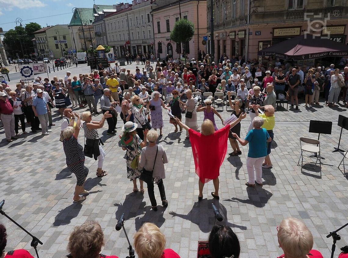 Nabór kandydatów do Rady Seniorów Miasta Lublin