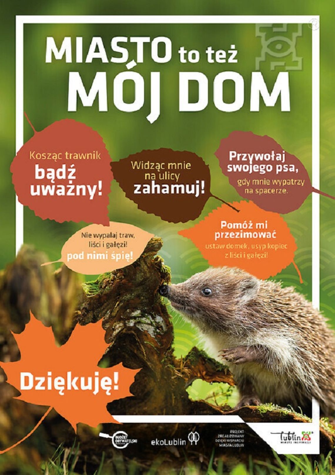 „Najeżony” konkurs