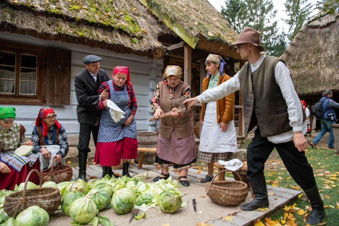 Obieraczki kapuściane