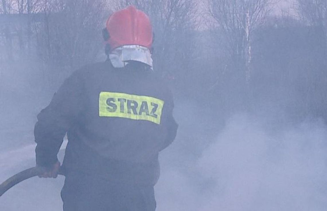 Pożar samochodu osobowego na ulicy Zana