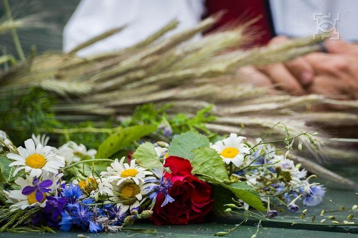 Ruszają zapisy na wydarzenia Jarmarku Jagiellońskiego!*