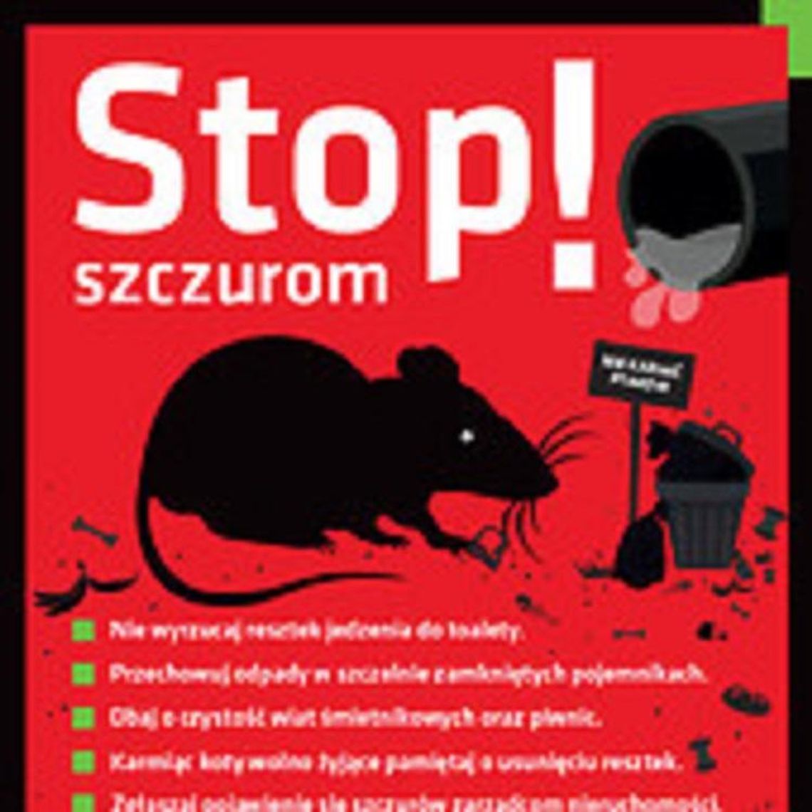 STOP szczurom!*