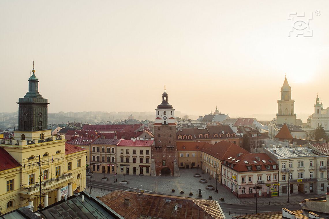 W Lublinie powstanie sieć miejsc przyjaznych zwierzętom