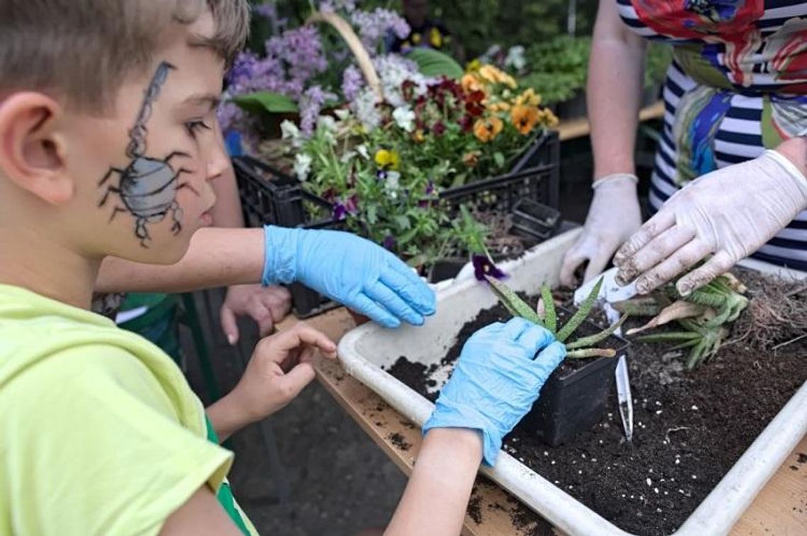 Wystawa roślin mięsożernych i majówka w Ogrodzie Botanicznym UMCS