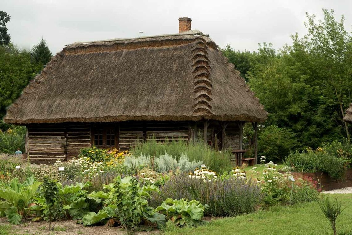 Zajęcia zielarskie w Muzeum Wsi Lubelskiej