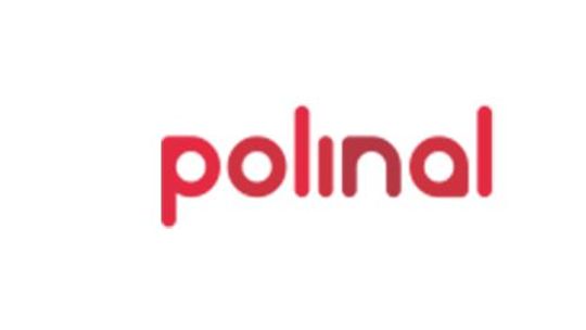 Polinal - naklejki dla programistów i developerów