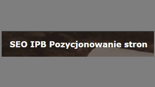 SEO IPB Pozycjonowanie stron