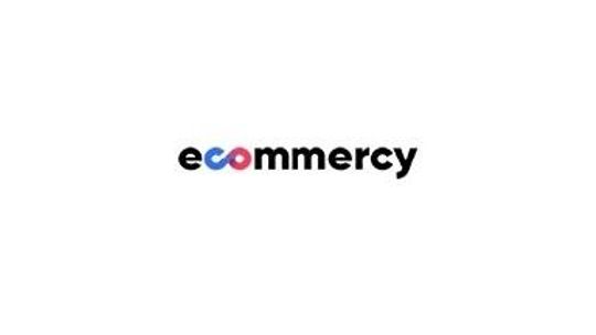 Sklepy internetowe Poznań Ecommercy