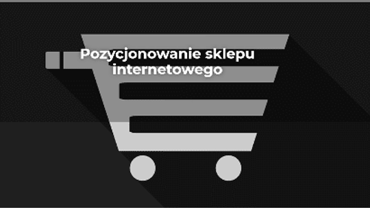 Teraz SEO - pozycjonowanie stron