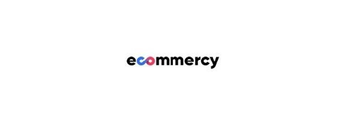 Sklepy internetowe Poznań Ecommercy