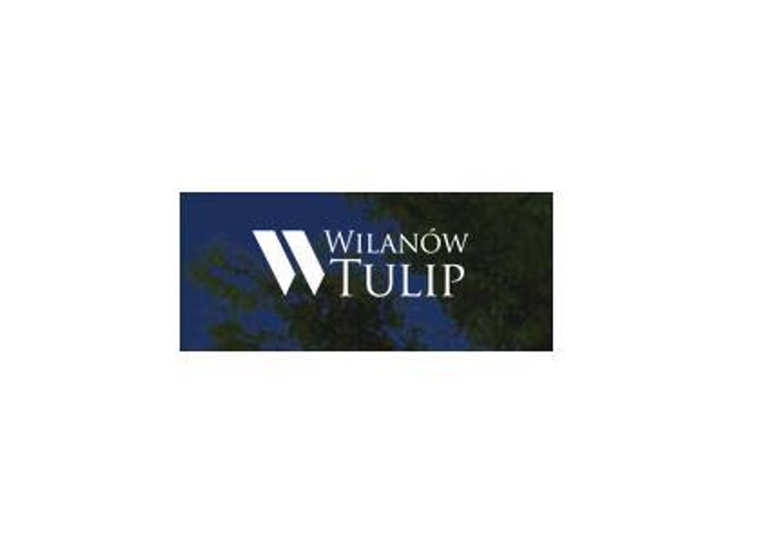 Wilanów Tulip